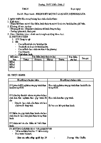 Giáo án Công nghệ Lớp 10 - Tiết 16, Bài 16: Thực hành nhận biết một số loại sâu, bệnh hại lúa - Trường THPT Diễn Châu 3