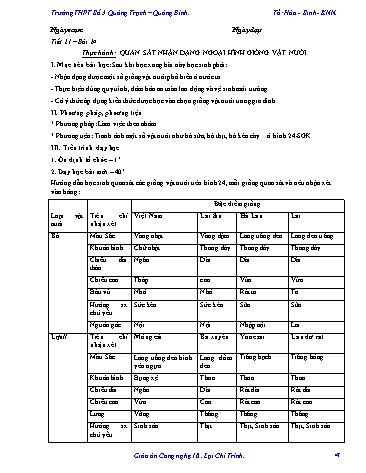 Giáo án Công nghệ Lớp 10 - Tiết 21, Bài 24: Thực hành quan sát nhận dạng ngoại hình giống vật nuôi - Trường THPT Số 3 Quảng Trạch