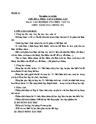 Giáo án Tự Nhiên Xã Hội 3 (Cánh Diều) - Bài 12: Các bộ phận của thực vật và chức năng của chúng (Tiết 2)