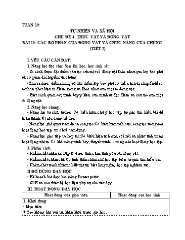 Giáo án Tự Nhiên Xã Hội 3 (Cánh Diều) - Bài 13: Các bộ phận của động vật và chức năng của chúng (Tiết 2)